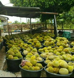 2020年香港食品貿(mào)易資訊概覽 1144家批發(fā)及零售商戶(hù)數(shù)據(jù)解析