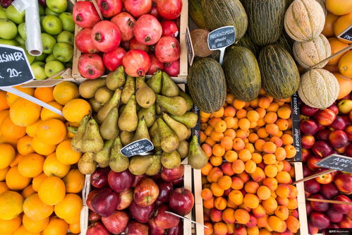 橙黃之舞 新鮮水果的健康饋贈